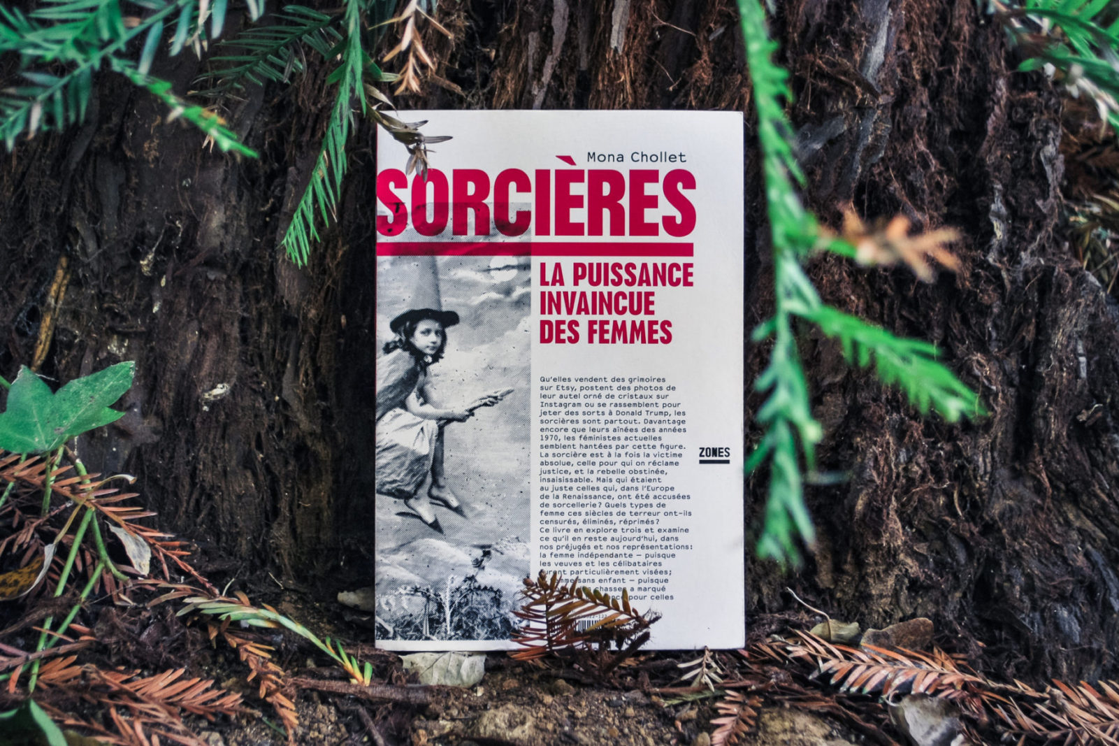 Sorcières  by Mona Chollet